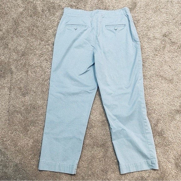 Talbots Classic Side Zip Light Blue and White Patterned Pants Size 10 - Picture 5 of 11